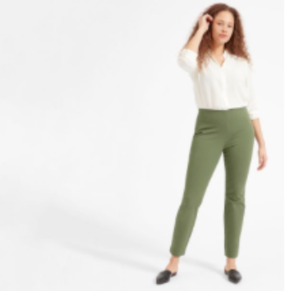 Everlane Side-Zip Work Pant in Surplus